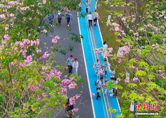 2026河源25公里城市亲水徒步活动盛大举行